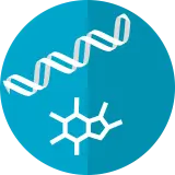 Metabolismo Basal